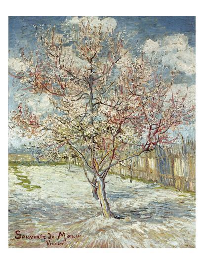 Bluehende Pfirsichbaeume Souvenir De Mauve 1888 Giclee Print