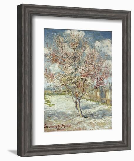 Bluehende Pfirsichbaeume (Souvenir De Mauve), 1888-Vincent van Gogh-Framed Giclee Print