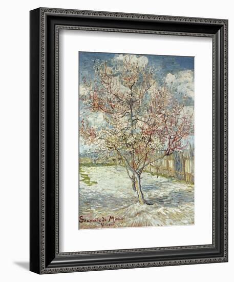 Bluehende Pfirsichbaeume (Souvenir De Mauve), 1888-Vincent van Gogh-Framed Giclee Print