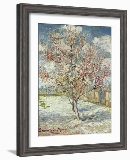 Bluehende Pfirsichbaeume (Souvenir De Mauve), 1888-Vincent van Gogh-Framed Giclee Print