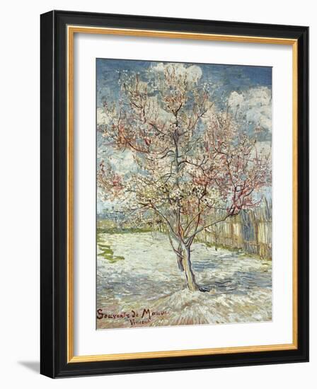 Bluehende Pfirsichbaeume (Souvenir De Mauve), 1888-Vincent van Gogh-Framed Giclee Print