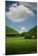 Photographic Print