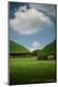 Photographic Print