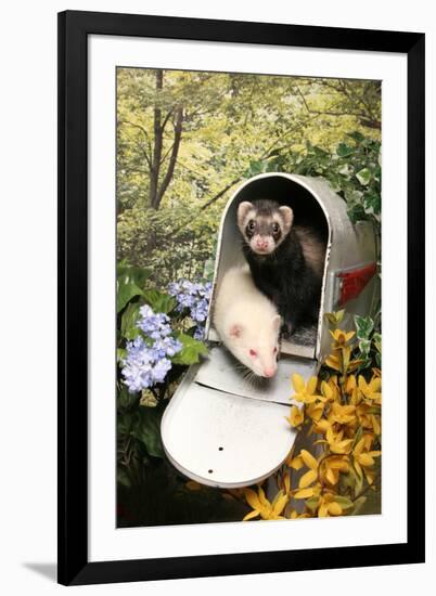 Photographic Print, , large