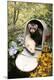Photographic Print