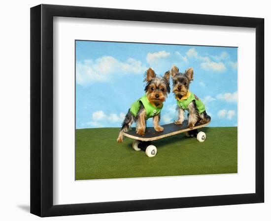 Photographic Print, , large