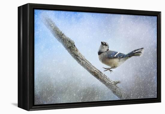 Bluejay in the Snow-Jai Johnson-Framed Premier Image Canvas