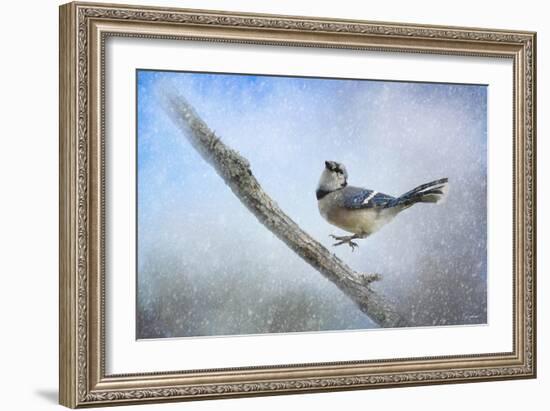 Bluejay in the Snow-Jai Johnson-Framed Giclee Print