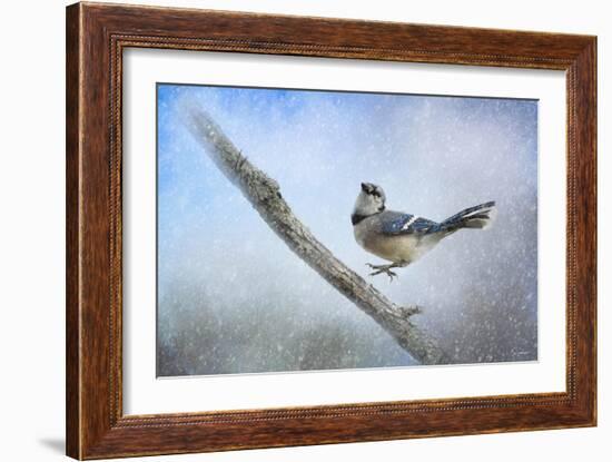 Bluejay in the Snow-Jai Johnson-Framed Giclee Print