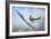 Bluejay in the Snow-Jai Johnson-Framed Giclee Print