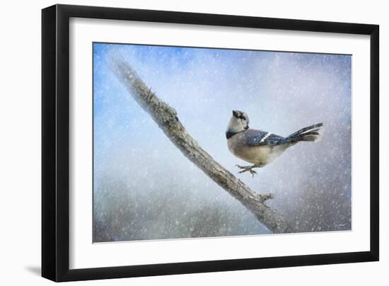 Bluejay in the Snow-Jai Johnson-Framed Giclee Print