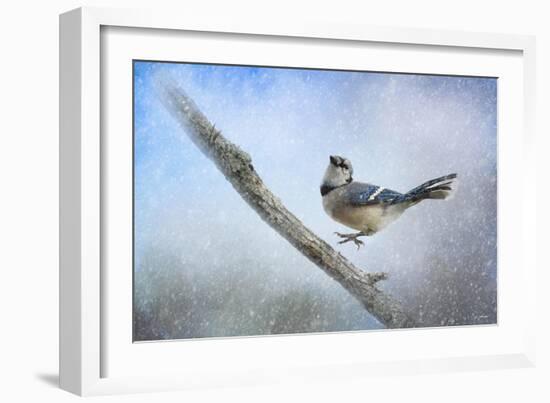 Bluejay in the Snow-Jai Johnson-Framed Giclee Print