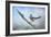 Bluejay in the Snow-Jai Johnson-Framed Giclee Print