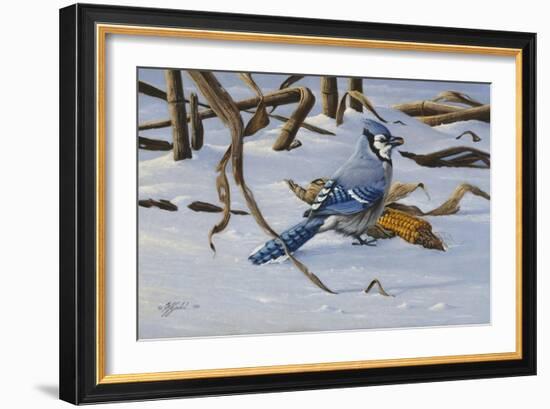 Bluejay-Wilhelm Goebel-Framed Giclee Print