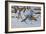 Bluejay-Wilhelm Goebel-Framed Giclee Print