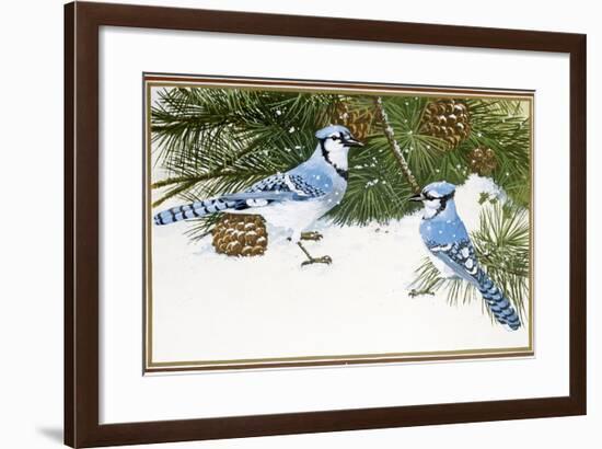 Bluejays-William Vanderdasson-Framed Giclee Print