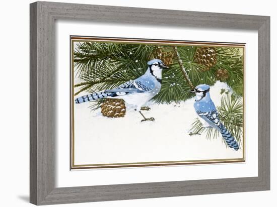 Bluejays-William Vanderdasson-Framed Giclee Print