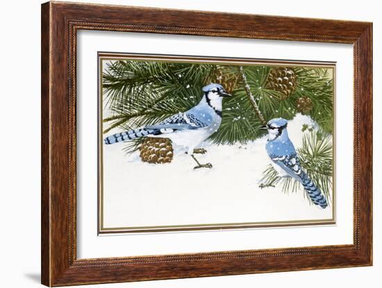 Bluejays-William Vanderdasson-Framed Giclee Print