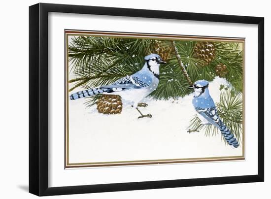 Bluejays-William Vanderdasson-Framed Giclee Print