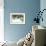 Bluejays-William Vanderdasson-Framed Giclee Print displayed on a wall