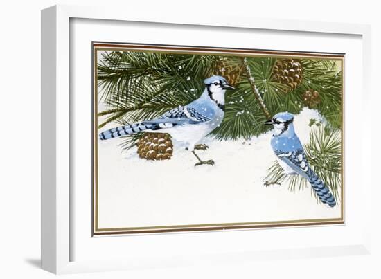 Bluejays-William Vanderdasson-Framed Giclee Print