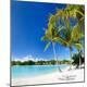 Premium Photographic Print