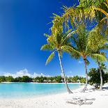 Beautiful Beach with Coconut Palms on Bora Bora Island in French Polynesia-BlueOrange Studio-Photographic Print