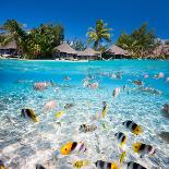 Beautiful Beach with Coconut Palms on Bora Bora Island in French Polynesia-BlueOrange Studio-Framed Premier Image Canvas