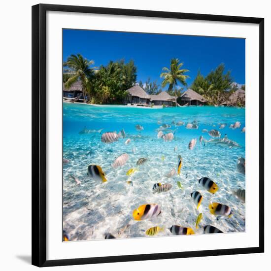 Photographic Print, , large