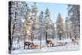 Stretched Canvas Print