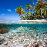 Tropical Island under and Above Water-Blueorangestudio-Premium Photographic Print