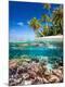 Photographic Print