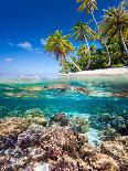 Tropical Island under and Above Water-Blueorangestudio-Framed Premier Image Canvas