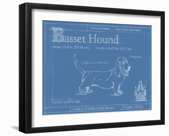 Blueprint Basset Hound-Ethan Harper-Framed Art Print