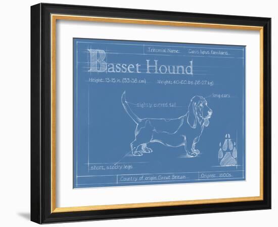 Blueprint Basset Hound-Ethan Harper-Framed Art Print