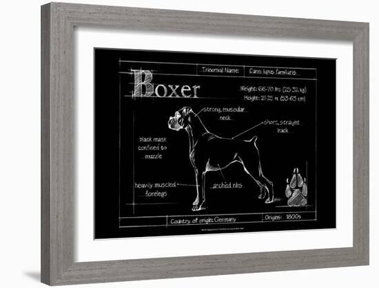 Blueprint Boxer-Ethan Harper-Framed Art Print