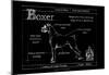 Blueprint Boxer-Ethan Harper-Mounted Art Print