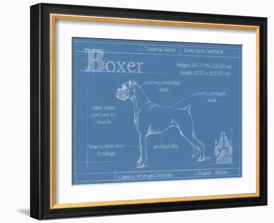 Blueprint Boxer-Ethan Harper-Framed Art Print