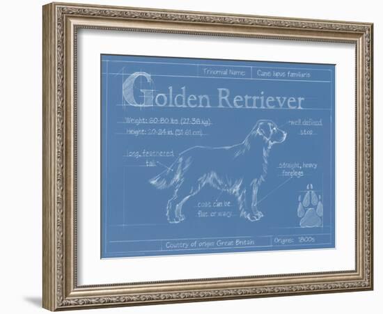 Blueprint Golden Retriever-Ethan Harper-Framed Art Print