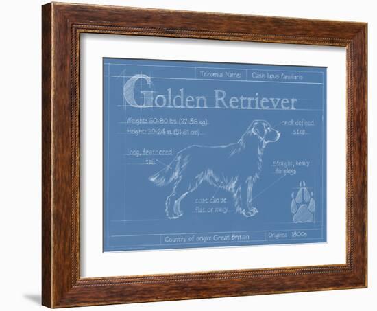 Blueprint Golden Retriever-Ethan Harper-Framed Art Print