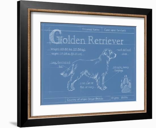 Blueprint Golden Retriever-Ethan Harper-Framed Art Print