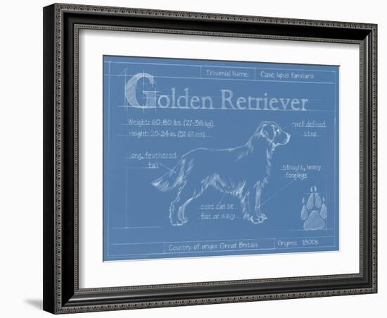 Blueprint Golden Retriever-Ethan Harper-Framed Art Print