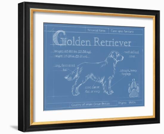 Blueprint Golden Retriever-Ethan Harper-Framed Art Print