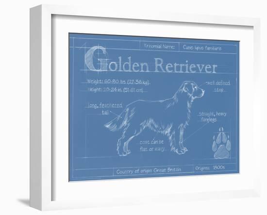 Blueprint Golden Retriever-Ethan Harper-Framed Art Print
