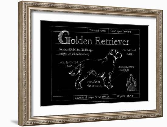 Blueprint Golden Retriever-Ethan Harper-Framed Art Print