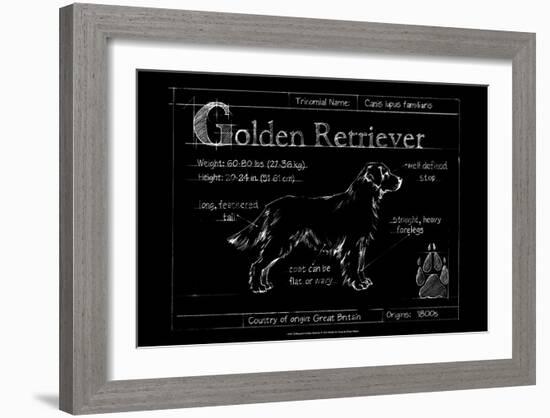 Blueprint Golden Retriever-Ethan Harper-Framed Art Print