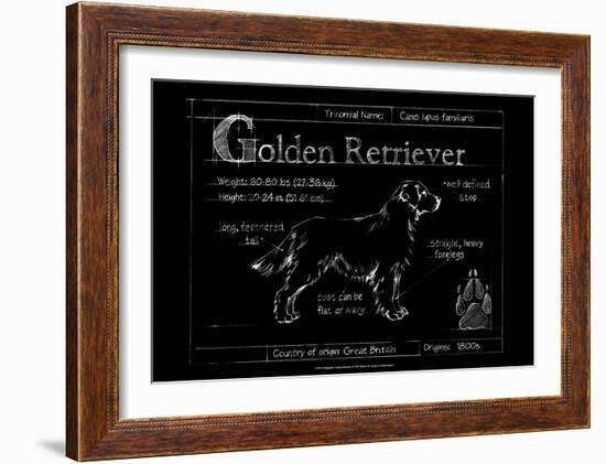 Blueprint Golden Retriever-Ethan Harper-Framed Art Print