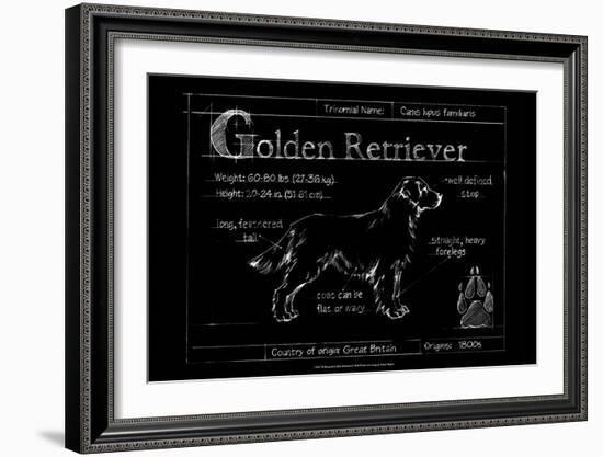 Blueprint Golden Retriever-Ethan Harper-Framed Art Print