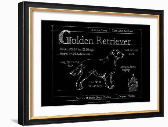 Blueprint Golden Retriever-Ethan Harper-Framed Art Print