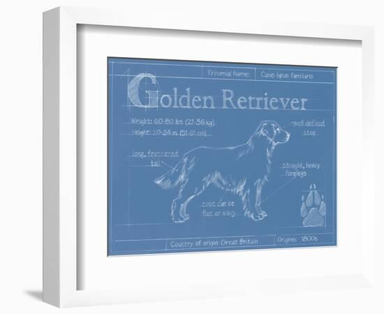 Blueprint Golden Retriever-Ethan Harper-Framed Art Print